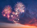 Holiday fireworks Royalty Free Stock Photo