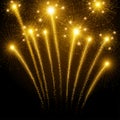 Holiday fireworks Royalty Free Stock Photo