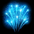 Holiday fireworks Royalty Free Stock Photo