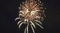 Holiday fireworks during a fourth of july celebration Royalty Free Stock Photo