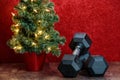 Holiday fitness, black dumbbells, artificial Christmas tree with white lights against a red background
