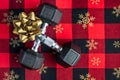 Holiday fitness, pair of 15-pound dumbbells on a holiday background of red and black with gold snowflakes, gold bow