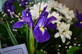 Holiday flower bouquet of purple irises and white daisies.