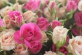 Holiday flowers as a gift-a bouquet of beautiful delicate roses in pink and beige Royalty Free Stock Photo