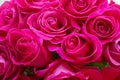 Holiday flowers as a gift for Valentine`s Day-beautiful delicate pink roses Royalty Free Stock Photo