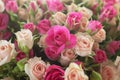 Holiday flowers as a gift for Valentine`s Day-beautiful small delicate pink and beige roses Royalty Free Stock Photo