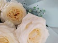 holiday flowers bouquet  yellow roses background delicate colour Royalty Free Stock Photo