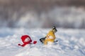 Greeting card with birds titmice sitting on cute snowmen in a winter park