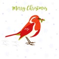 Holiday greeting card with cute robin bird.