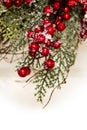 Holiday Holly and Greenery Background Royalty Free Stock Photo