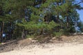 Holiday houses on the beach. Summer landscape. Resort. Vacation. Background.