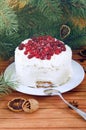 Holiday layered cake with cream and cranberry decoration