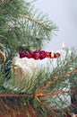 Holiday layered cake with cream and cranberry decoration