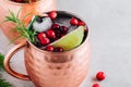 Holiday Moscow Mule ice cold Cocktail in copper cup with cranberries, lime and rosemary on stone background