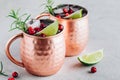 Holiday Moscow Mule ice cold Cocktail in copper cup with cranberries, lime and rosemary on stone background