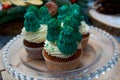 Holiday muffins with winter motives. White and green creamy cream. Christmas cake