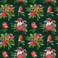 Holiday pattern with Birds, bullfinches, holly berries, spruce branches, watercolor illustration