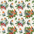 Holiday pattern with birds robin, holly, spruce branches. Watercolor illustration