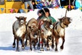 Holiday of peoples of the North in Novyy Urengoy, Russia