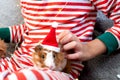 Holiday Pets Christmas guinea pig Cute boy hugs his pets guinea pig Boy in red Santa Hat Royalty Free Stock Photo