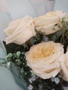 holiday present bouquet flowers yellow roses design manufacturer Royalty Free Stock Photo