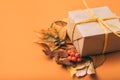 Holiday present special occasion gift box foliage