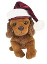 Holiday Puppy Royalty Free Stock Photo