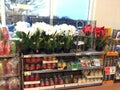 Holiday purchase items display in grocery store for Christmas holiday
