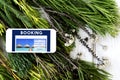 Holiday Reservation Website Interface Concept Royalty Free Stock Photo