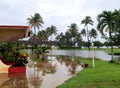 Ponds On The Porch