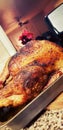 Roast Turkey