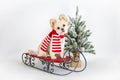 Holiday Santa Dog on Sled