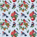 Holiday seamless pattern. Birds bullfinches, watercolor illustration. Winter design