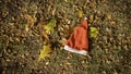 Holiday season is coming soon. A conceptual background photo of Santa Claus hat on yellow leaves in fall. Last day of autumn and