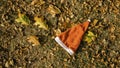 Holiday season is coming soon. A conceptual background photo of Santa Claus hat on yellow leaves in fall. Last day of autumn and