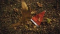 Holiday season is coming soon. A conceptual background photo of Santa Claus hat on yellow leaves in fall. Last day of autumn and