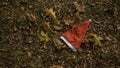 Holiday season is coming soon. A conceptual background photo of Santa Claus hat on yellow leaves in fall. Last day of autumn and