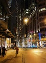 Holiday Season at Downtown Seattle