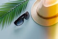 Holiday season, Panama hat, women s sunglasses, large green leaf of a tropical tree. a slightly blue background, a place for an