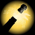 Holiday sparks of a champagne Royalty Free Stock Photo