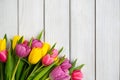 Holiday spring background. Colorful tulip flowers on white wooden backdrop. Royalty Free Stock Photo