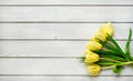 Holiday spring background. Yellow tulip flowers on white wooden backdrop. Royalty Free Stock Photo
