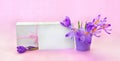 Holiday spring composition, white gift box with pink ribbon and paper blank sheet with space for text and flowers violet crocuses Royalty Free Stock Photo