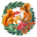 Holiday Squirrel, spruce wreath on an isolated white background, cute winter animal. Royalty Free Stock Photo