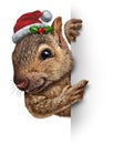 Holiday Squirrel Vertical Royalty Free Stock Photo