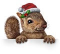 Holiday Squirrel Royalty Free Stock Photo