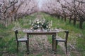 Holiday table in the blossoming orchard