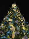 Holiday Tall Christmas Tree at Night in November