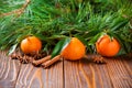 Holiday tangerines with fir branches