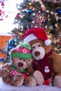 Holiday teddy bears hug At Christmas Royalty Free Stock Photo